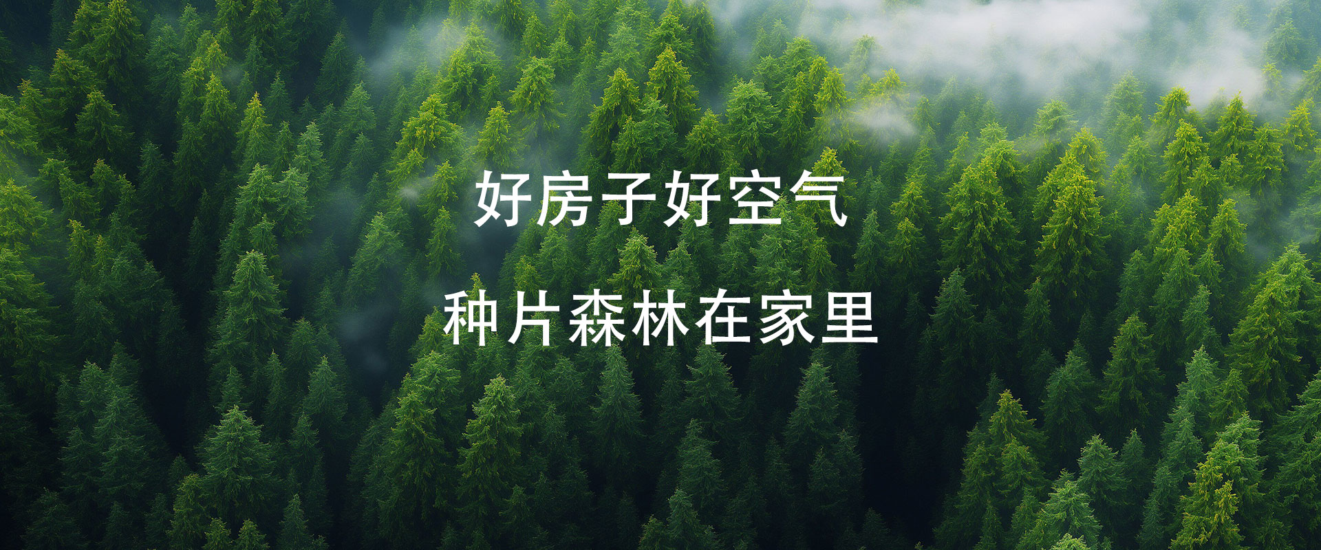 第二森林,第二森林森林氧吧,第二森林森林氧离子,上海第二森林